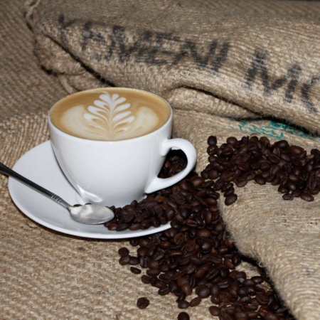 mocha_for_mocha-mocha_coffee_in_yemen Through our campaign we would like to draw attention to the current humanitarian situation in Yemen