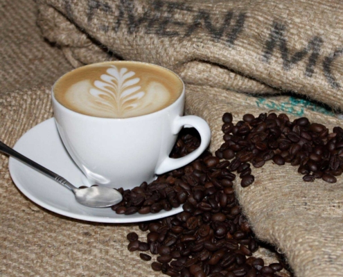 mocha_for_mocha-mocha_coffee_in_yemen Through our campaign we would like to draw attention to the current humanitarian situation in Yemen