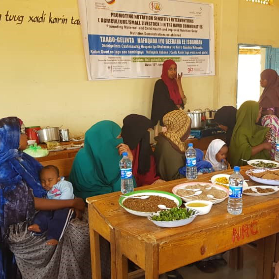 gesundes_essen-gemeinsam_kochen