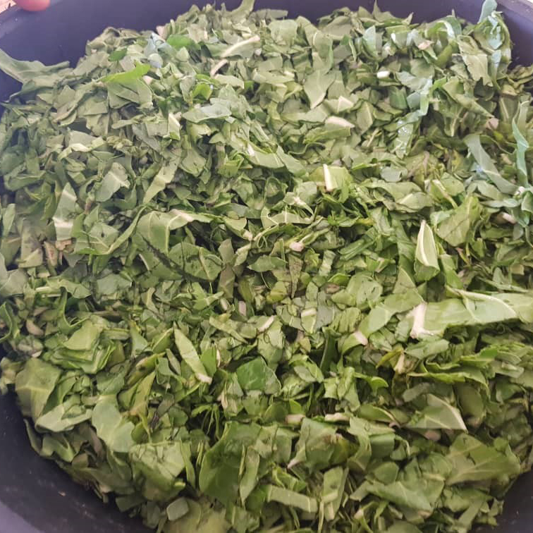 gesundes_essen-kraueter