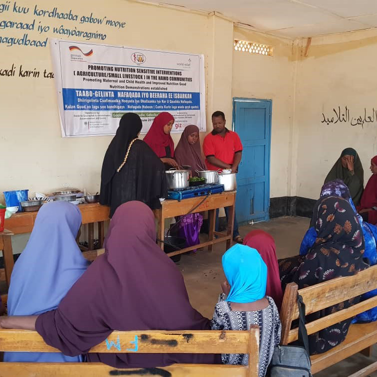 gesundes_essen-training