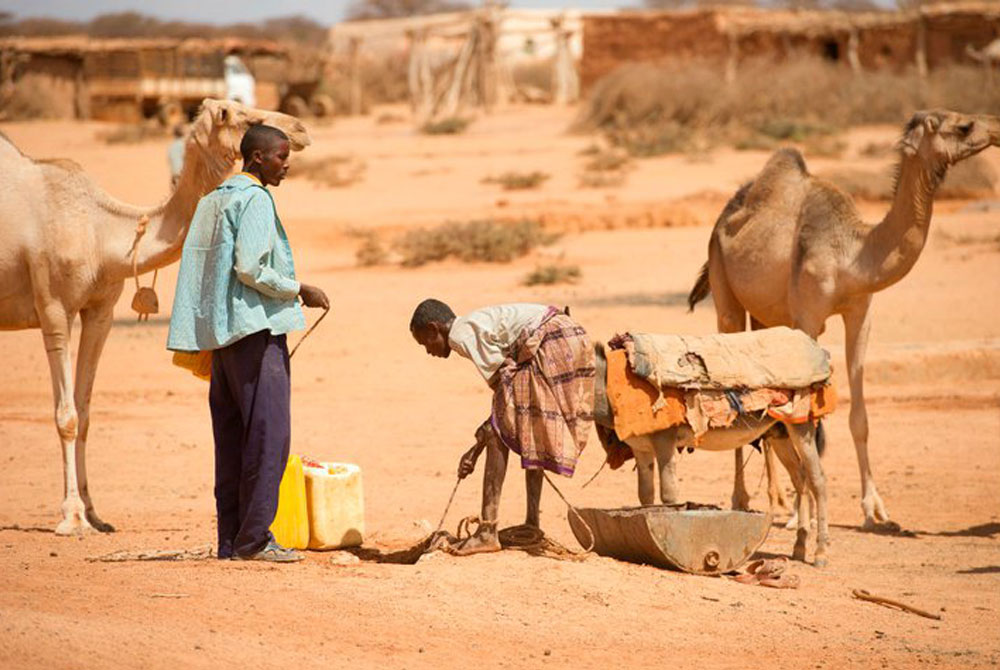 Was kannst du gegen den Klimawandel tun - Konkret in den Ländern?